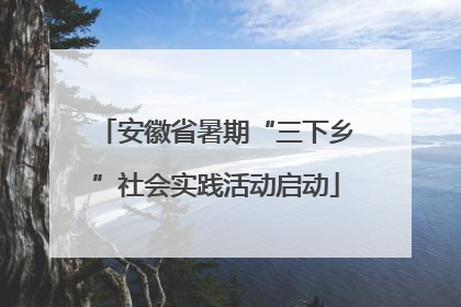 安徽省暑期“三下乡”社会实践活动启动