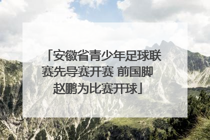 安徽省青少年足球联赛先导赛开赛 前国脚赵鹏为比赛开球