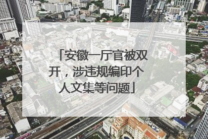 安徽一厅官被双开，涉违规编印个人文集等问题
