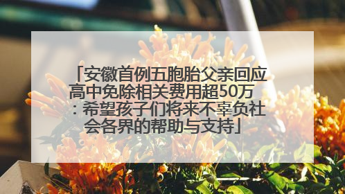 安徽首例五胞胎父亲回应高中免除相关费用超50万：希望孩子们将来不辜负社会各界的帮助与支持