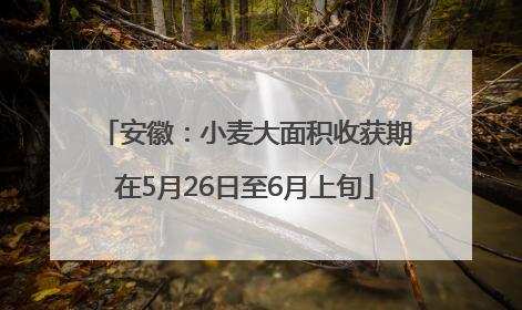 安徽：小麦大面积收获期在5月26日至6月上旬