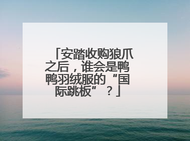 安踏收购狼爪之后，谁会是鸭鸭羽绒服的“国际跳板”？