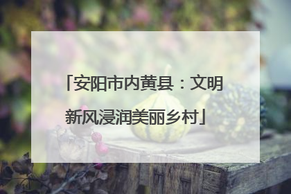 安阳市内黄县：文明新风浸润美丽乡村