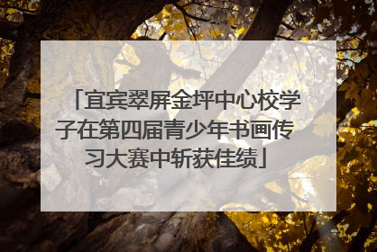 宜宾翠屏金坪中心校学子在第四届青少年书画传习大赛中斩获佳绩