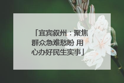 宜宾叙州：聚焦群众急难愁盼 用心办好民生实事