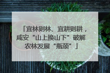 宜林则林、宜耕则耕，咸安“山上换山下”破解农林发展“瓶颈”