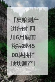 夏粮测产进行时 四川6月底前将完成4500块抽样地块测产
