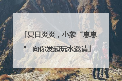 夏日炎炎，小象“崽崽” 向你发起玩水邀请