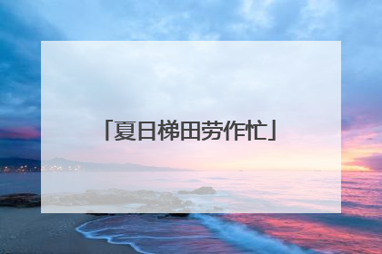 夏日梯田劳作忙