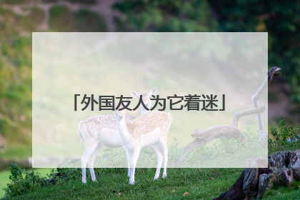 外国友人为它着迷