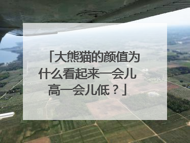大熊猫的颜值为什么看起来一会儿高一会儿低？