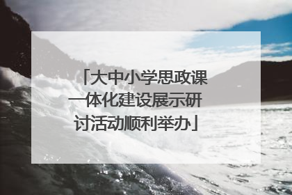 大中小学思政课一体化建设展示研讨活动顺利举办