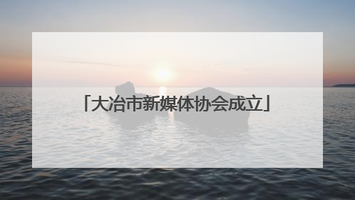 大冶市新媒体协会成立