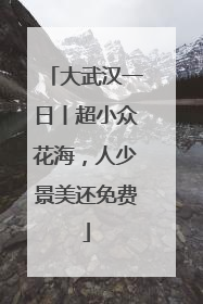 大武汉一日丨超小众花海，人少景美还免费