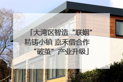 大湾区智造“联姻”精铸小镇 嘉禾借合作“破茧”产业升级