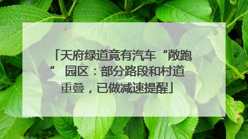 天府绿道竟有汽车“敞跑” 园区：部分路段和村道重叠，已做减速提醒
