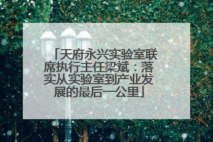 天府永兴实验室联席执行主任梁斌：落实从实验室到产业发展的最后一公里