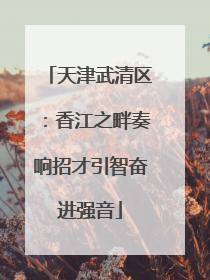 天津武清区：香江之畔奏响招才引智奋进强音