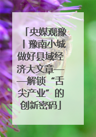 央媒观豫丨豫南小城做好县域经济大文章——解锁“舌尖产业”的创新密码