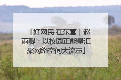 好网民·在东营｜赵雨馨：以校园正能量汇聚网络空间大流量