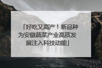 好吃又高产！新品种为安徽蔬菜产业高质发展注入科技动能