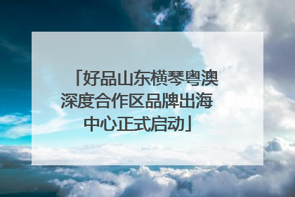 好品山东横琴粤澳深度合作区品牌出海中心正式启动