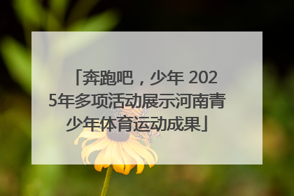 奔跑吧，少年 2025年多项活动展示河南青少年体育运动成果