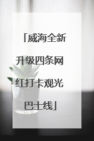 威海全新升级四条网红打卡观光巴士线