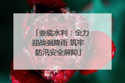 娄底水利：全力迎战强降雨 筑牢防汛安全屏障