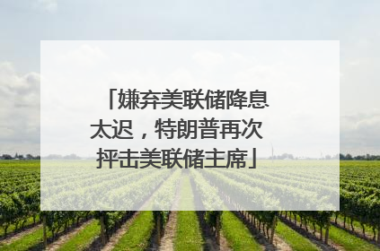 嫌弃美联储降息太迟，特朗普再次抨击美联储主席