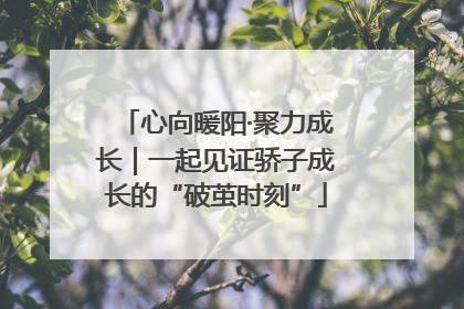 心向暖阳·聚力成长｜一起见证骄子成长的“破茧时刻”