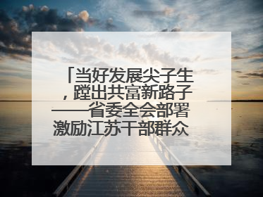 当好发展尖子生，蹚出共富新路子——省委全会部署激励江苏干部群众促进全体人民共同富裕