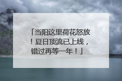 当阳这里荷花怒放！夏日顶流已上线，错过再等一年！