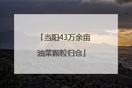 当阳43万余亩油菜颗粒归仓