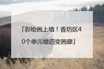 彩绘画上墙！香坊区40个单元楼道变画廊