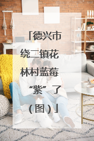 德兴市绕二镇花林村蓝莓“紫”了（图）