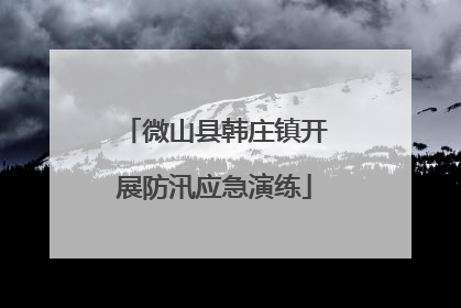 微山县韩庄镇开展防汛应急演练