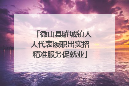 微山县驩城镇人大代表履职出实招精准服务促就业