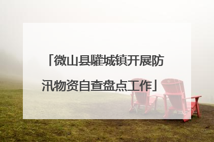 微山县驩城镇开展防汛物资自查盘点工作