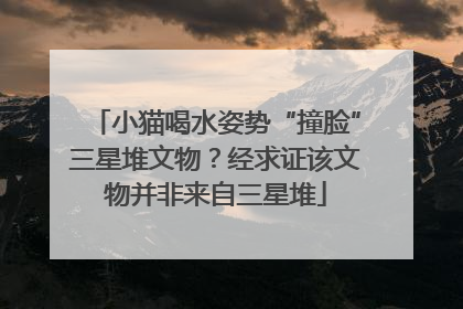 小猫喝水姿势“撞脸”三星堆文物？经求证该文物并非来自三星堆
