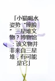 小猫喝水姿势“撞脸”三星堆文物？博物馆：该文物并非来自三星堆，有可能是它
