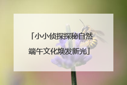 小小侦探探秘自然 端午文化焕发新光