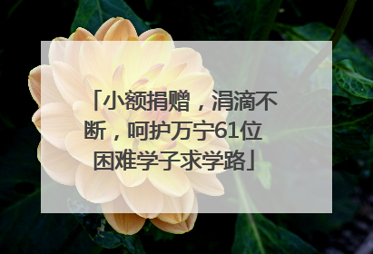 小额捐赠，涓滴不断，呵护万宁61位困难学子求学路
