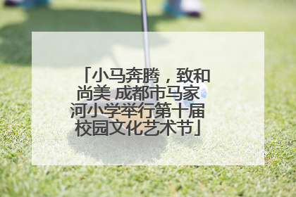 小马奔腾，致和尚美 成都市马家河小学举行第十届校园文化艺术节