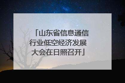 山东省信息通信行业低空经济发展大会在日照召开