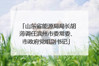 山东省能源局局长胡薄调任滨州市委常委、市政府党组副书记