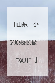 山东一小学原校长被“双开”