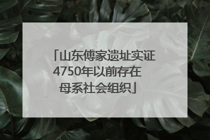 山东傅家遗址实证4750年以前存在母系社会组织