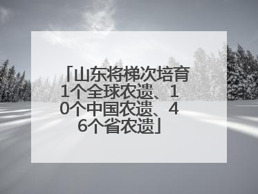山东将梯次培育1个全球农遗、10个中国农遗、46个省农遗