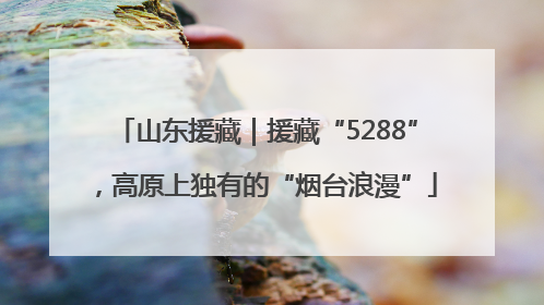 山东援藏｜援藏“5288”，高原上独有的“烟台浪漫”